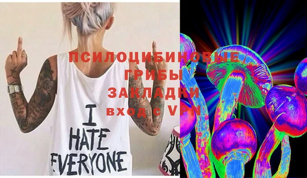 шишки Володарск
