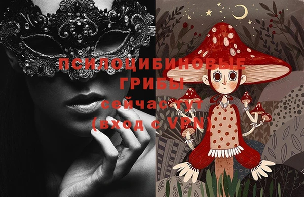 шишки Володарск