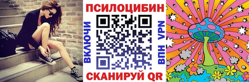 Купить  Спасск-Дальний  Псилоцибиновые грибы прущие грибы 