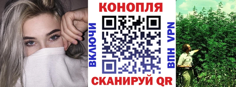 Конопля сатива  Купить закладки  Спасск-Дальний 